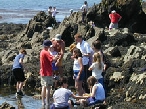 Ninos estudiando playa