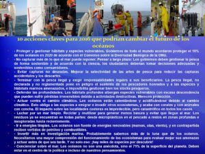 10 postulaciones 2016